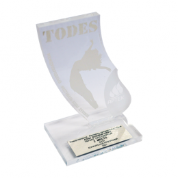 Приз из акрила с пластиком 2-слойный