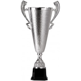 Кубок 2003E (39,5 см) D-120